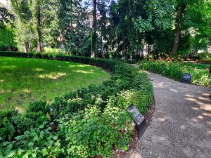 Dębowy Ogród Krakowian, ul. Celarowska