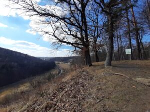 Rezerwat Skała Kmity