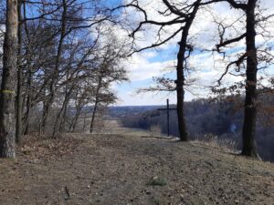 Rezerwat Skała Kmity