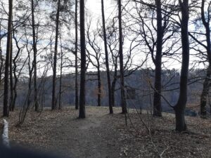 Rezerwat Skała Kmity