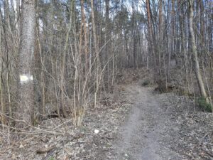 Rezerwat Skała Kmity