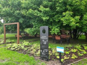 Wiewiórkowy Ogród Krakowian