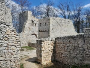 Zamek Pilcza w Smoleniu