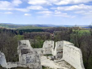 Zamek Pilcza w Smoleniu