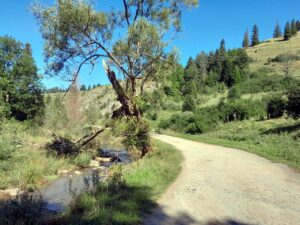 Rezerwat Biała Woda