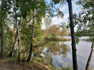 Dolina trzech stawów w Katowicach