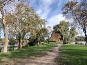 Dolina trzech stawów w Katowicach