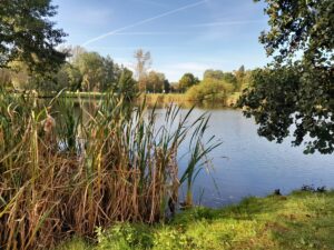 Dolina trzech stawów w Katowicach