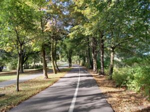 Dolina trzech stawów w Katowicach