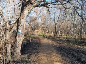 Młynówka Królewska