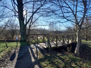 Młynówka Królewska