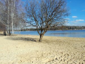 Zalew Sosina w Jaworznie