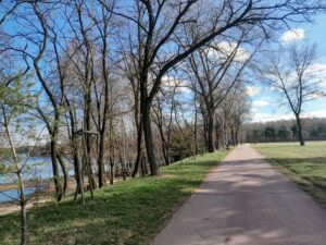 Zalew Sosina w Jaworznie