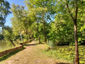 Park Tetmajera