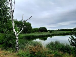 Żabie Doły w Chorzowie