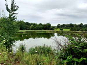 Żabie Doły w Chorzowie