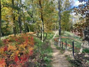 Park przy Forcie 2 Kościuszko
