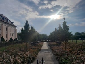 Niepołomice Błonia