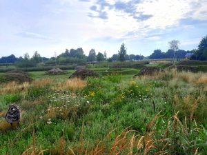 Niepołomice Błonia