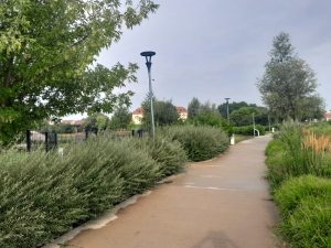 Niepołomice Błonia