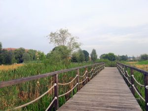 Niepołomice Błonia