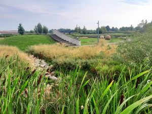 Niepołomice Błonia