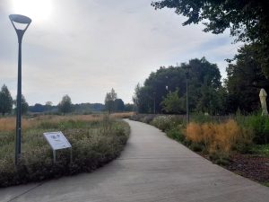 Niepołomice Błonia